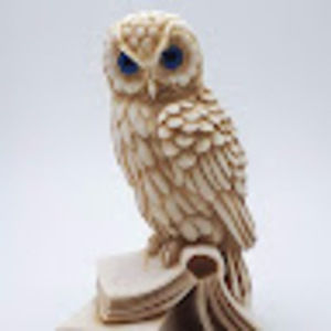 Meet your Posher, Hollie